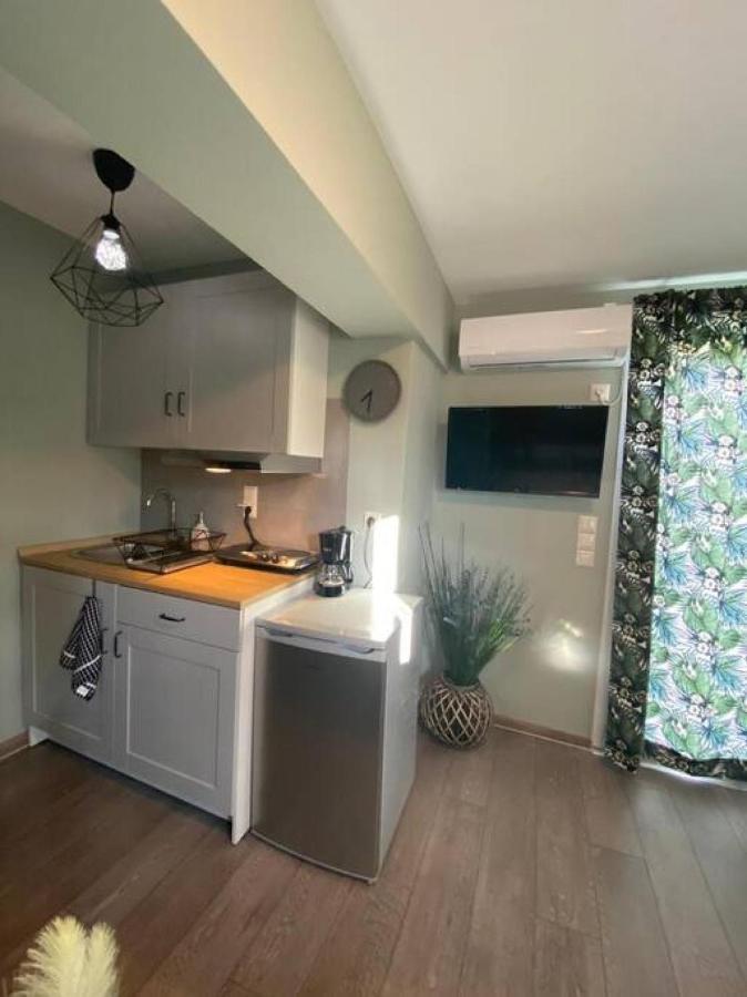 Rooftop Apartment With Garden In Ioánnina Exteriör bild